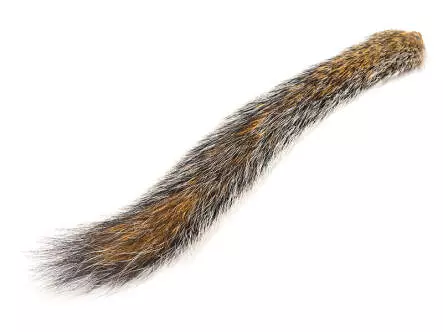 SQUIRREL TAIL NATURAL (Queue décureuil) hotfly