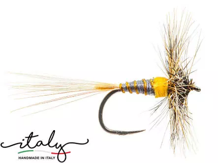 Bicoloured Dora Worker