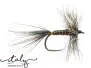Large Orange Ribbed Black Ephemerida 12