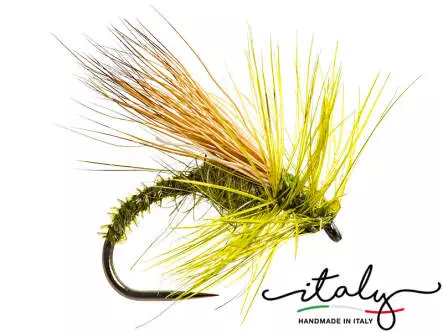 Olive Little Stimu