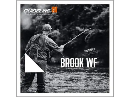 Soie peche mouche flottante guideline BROOK - WF - #2