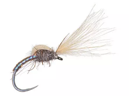 Kit montage mouche - CDC Buzzer