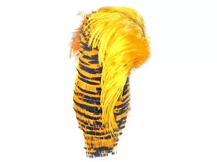 FAISAN DORÉ TÊTE COMPLÈTE 2ème...