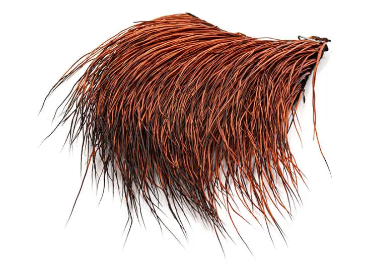 PECCARY PATCH hotfly - rusty
