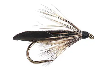 Realistic Light Brown Sege 14