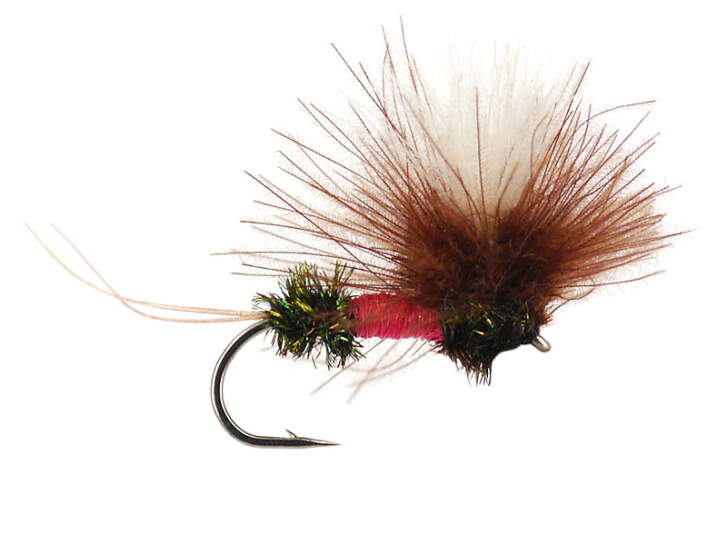 Avec équipement de couleurs vives pour la pêche à la mouche