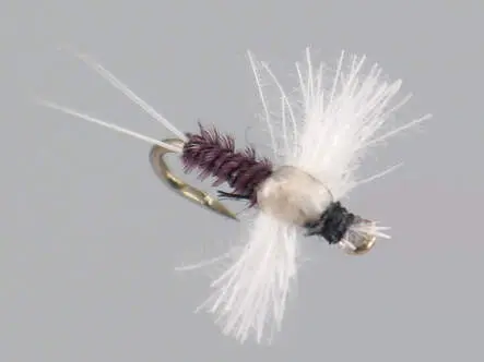 CDC Spinner - Trico 18