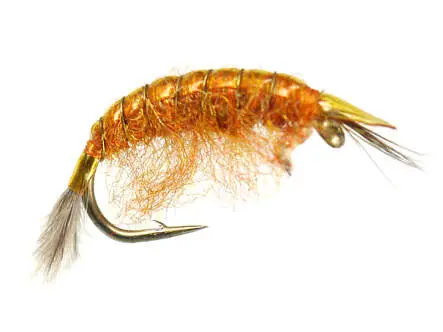 Classic Gammarus Fluo Orange 10