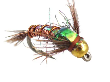 Kyles BH C-N Angel Hair Pheasant Tail 14