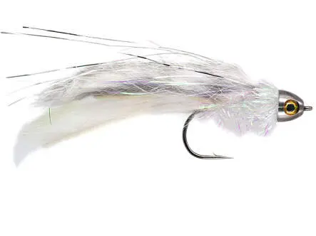 Clarkes Rat - Chinchilla 2