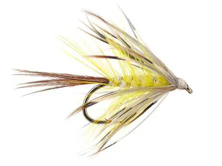 French Partridge Mayfly 10