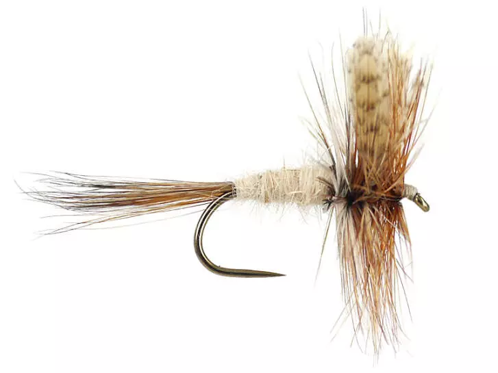 March Brown BL