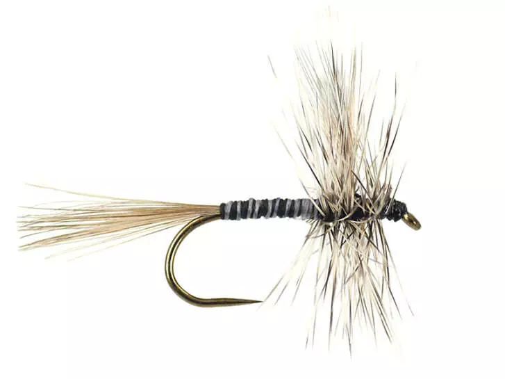 Mosquito BL