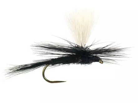Parachute Black Gnat BL