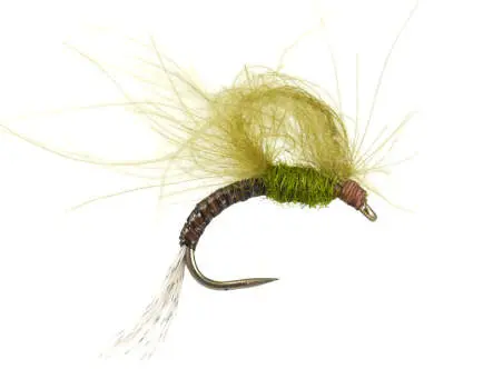 CDC Emerger Olive BL