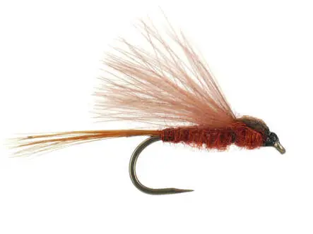 CDC Brown BL