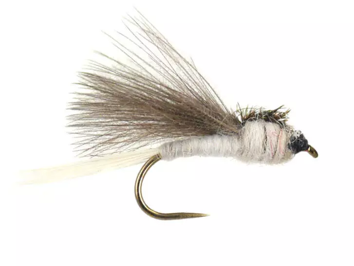CDC White Dark Winged BL