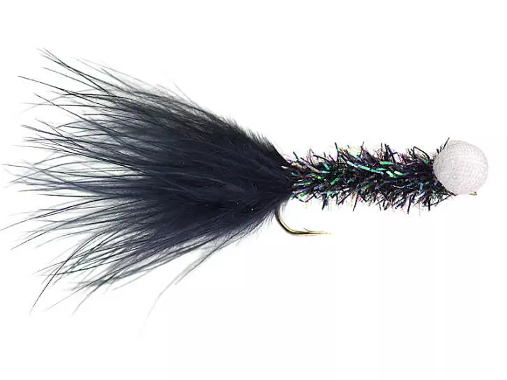 Black Chrystal Attractor