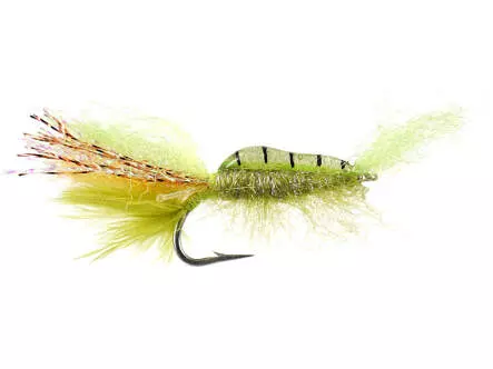 Standing Shrimp Chart