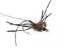 Leggy Critter Brown