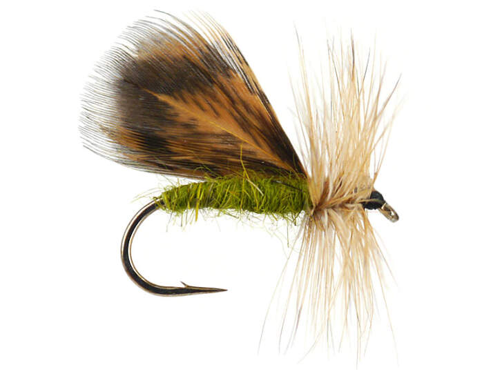 KIT Mouches Drag sedge Taille 14 – Pêches sportives