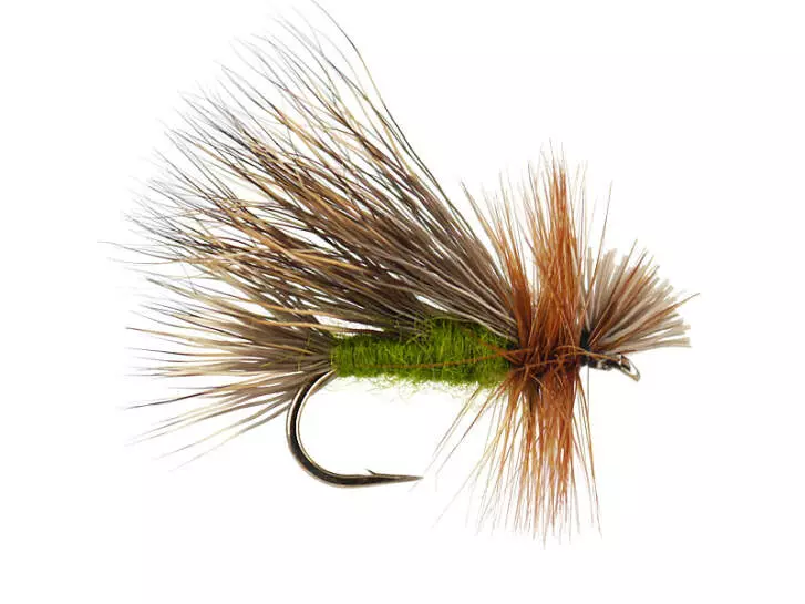Hairwing Caddis