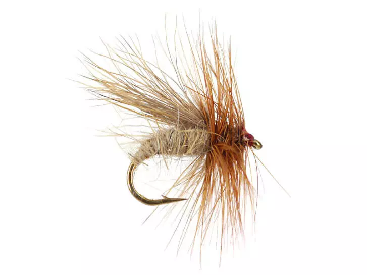 Cinnamon Caddis
