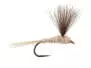 CDC Natural