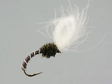 CDC Quill Midge