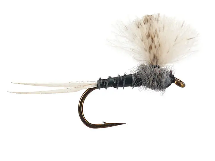 CDC Grey Baetis
