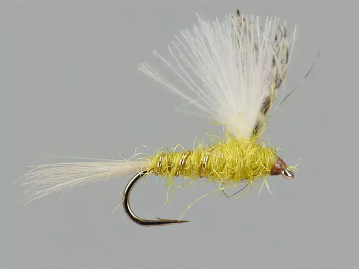 CDC Yellow Dun