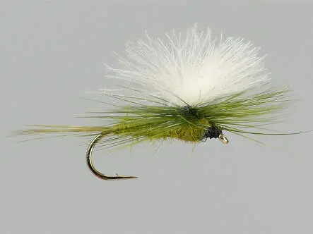 CDC Parachute Olive