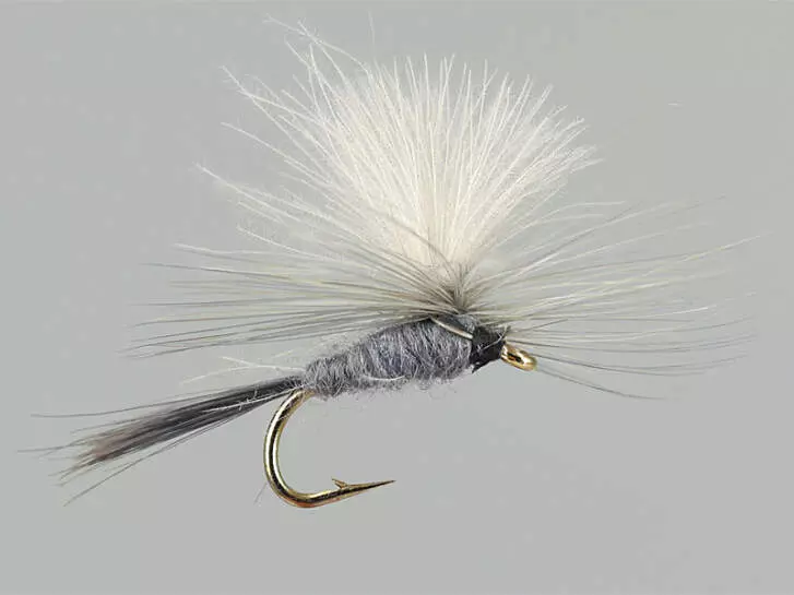 CDC Parachute Grey