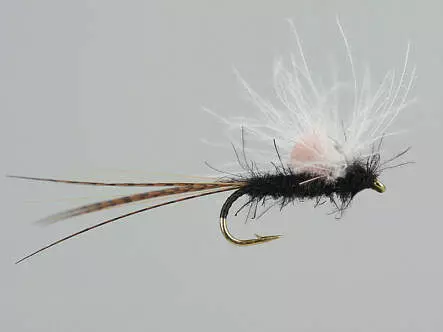Black CDC