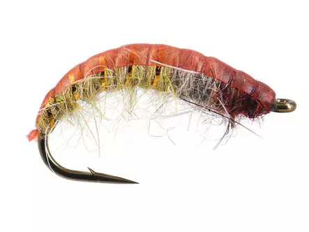 Czech Nymph Superb Terra