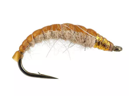 Golden Czech Nymph Superb