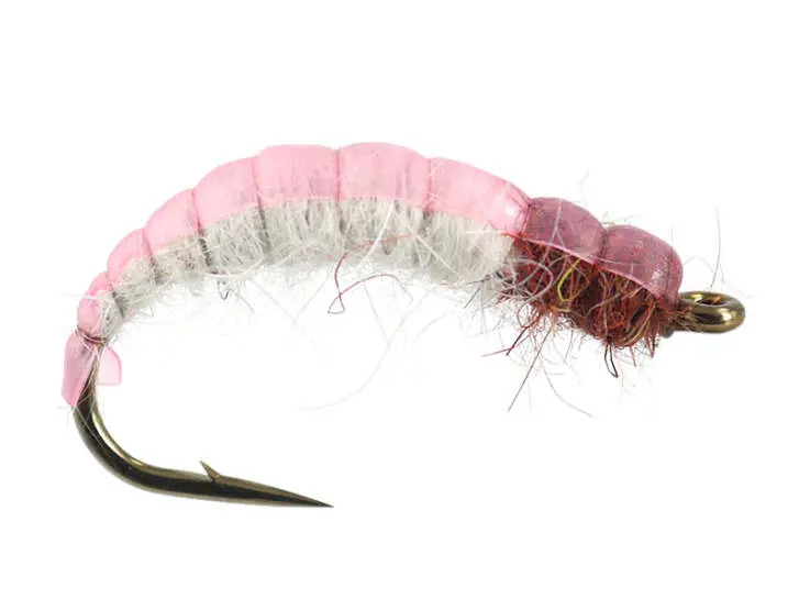 White Back Pink Czech Nymph