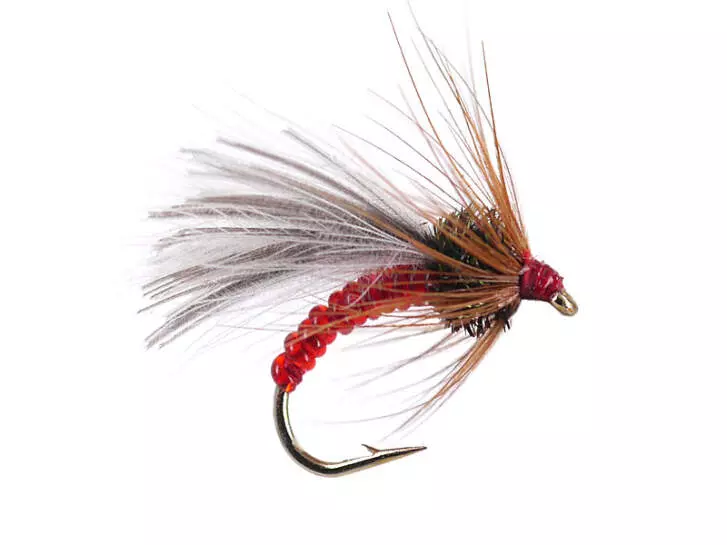 Red Grayling Dream