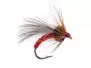 Red Grayling Dream