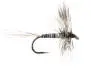 Mosquito