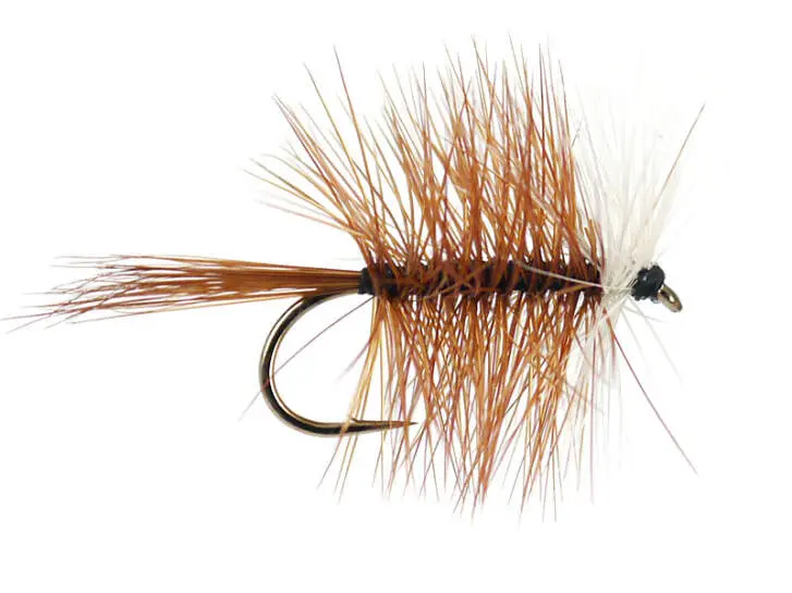 Brown Bivisible