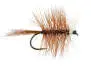 Brown Bivisible