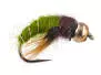 Caddis Pupa Olive