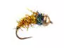 Bright Golden Nymph