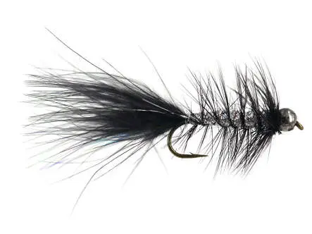 W.B. Bright Black Competition