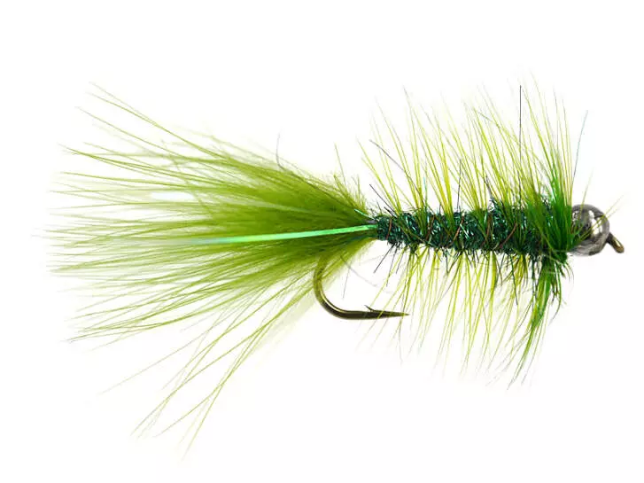 W.B. Bright Olive Competition