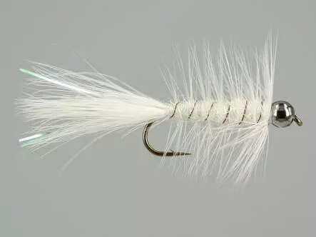 W.B. Bright White Competition