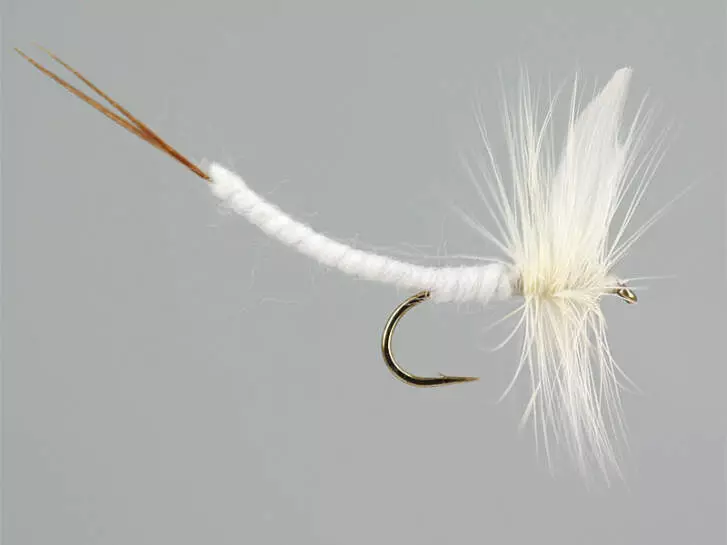 White Extended Body Mayfly
