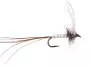 White Long Tailed Mayfly