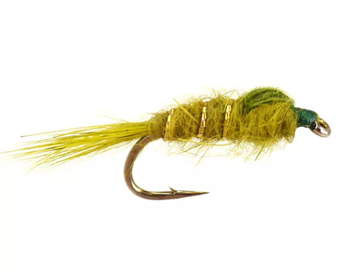 Hares Ear Olive